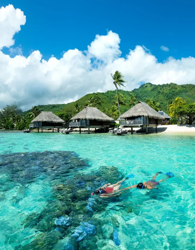 Relaxation and Serenity in Moorea